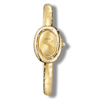 Bai watch